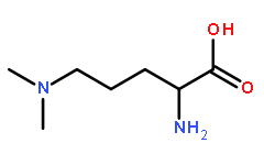 L-Ornithine, N5,N5-dimethyl- (9CI)