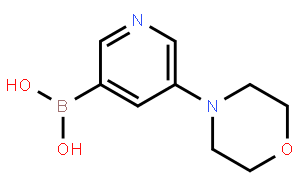 5-嗎啉基吡啶-3-硼酸