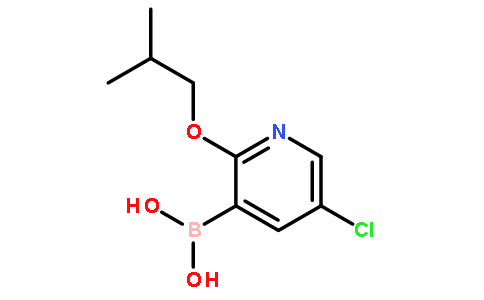 5-CHLORO-2-ISOBUTOXYPYRIDINE-3-BORONIC ACID