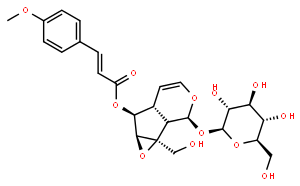 121710-02-9  6-O-对甲氧基肉桂酰梓醇