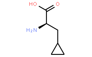 (R)-2-氨基-3环丙基丙酸