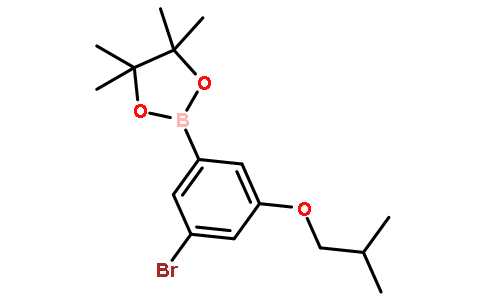 2-(3-Bromo-5-isobutoxyphenyl)-4,4,5,5-tetramethyl-1,3,2-dioxaborolane