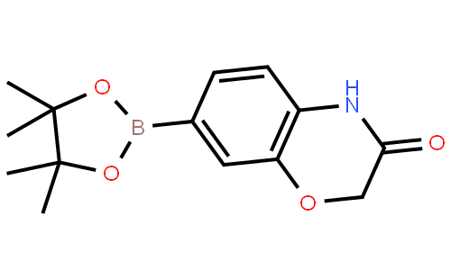7-(4,4,5,5-tetramethyl-1,3,2-dioxaborolan-2-yl)-2H-benzo[b][1,4]oxazin-3(4H)-one