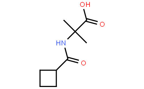 2-(Cyclobutanecarboxamido)-2-methylpropanoic acid