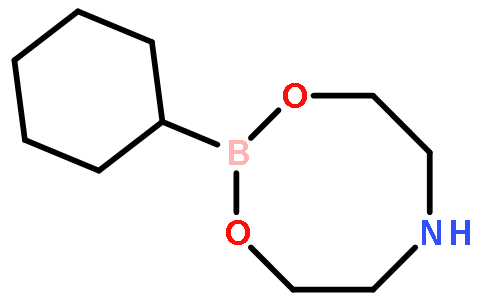 Cyclohexylboronic acid diethanolamine ester
