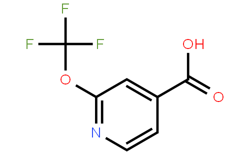2-(trifluoroMethoxy)isonicotinic acid