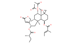 筋骨草素G1