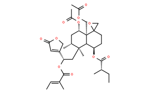 筋骨草素H1