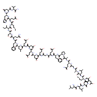 PKC fragment (530-558)
