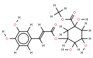 3-咖啡酰奎尼酸甲酯