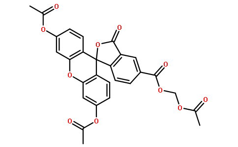 CFDAAMCarboxyfluoresceindiacetateAMester