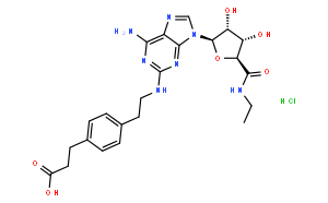 CGS 21680 HCl
