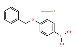 4-芐氧基-3-三氟甲基苯硼酸