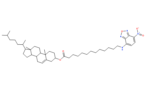 (3β,20R)-Cholest-5-en-3-yl 13-[(7-nitro-2,1,3-benzoxadiazol-4-yl) amino]tridecanoate