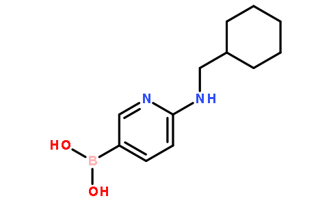 2-(Cyclohexylmethylamino)pyridine-5-boronic acid
