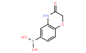 (3-氧代-3,4-二氢-2H-苯并[b] [1,4]恶嗪-6-基)硼酸