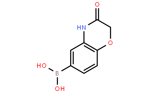 (3-Oxo-3,4-dihydro-2H-benzo[b][1,4]oxazin-6-yl)boronic acid