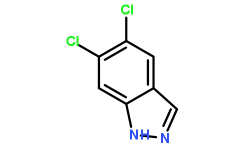 1H-INDAZOLE,5,6-DICHLORO-