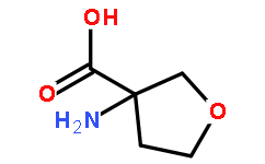 3-AminotetrahydroFuran-3-carboxylic acid