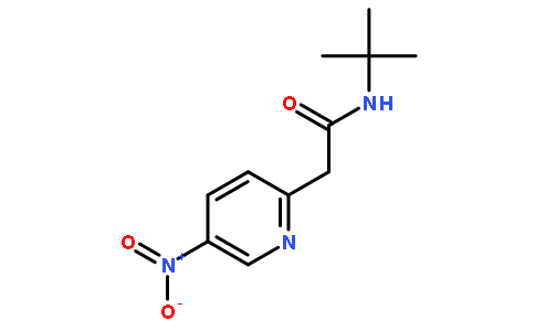 N-(tert-Butyl)-2-(5-nitropyridin-2-yl)acetamide