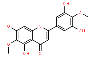 3',5,5',7-Tetrahydroxy-4',6-dime
