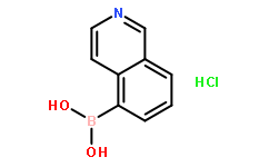 异喹啉-5-基硼酸盐酸盐