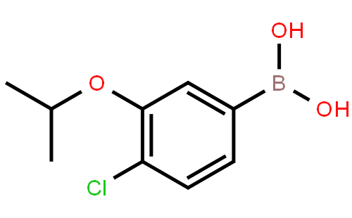 4-氯-3-异丙氧基苯硼酸