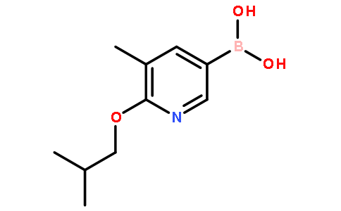 6-异丁氧基-5-甲基吡啶-3-硼酸