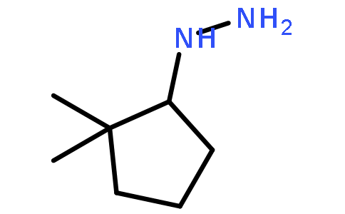 1-(2,2-dimethylcyclopentyl)hydrazine