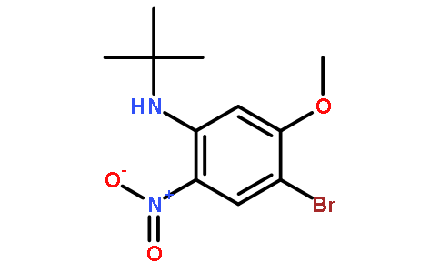 4-Bromo-N-(tert-butyl)-5-methoxy-2-nitroaniline