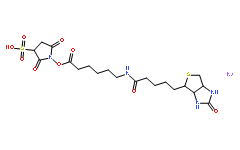 6-[生物素酰氨基]己酸磺基琥珀酰亚胺酯