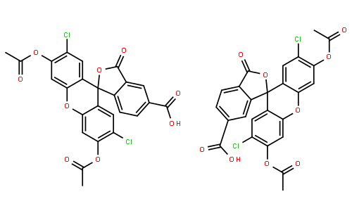 5[6]-羧基-2',7'-二氯荧光素二乙酸酯