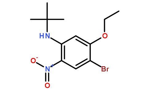 4-Bromo-N-(tert-butyl)-5-ethoxy-2-nitroaniline