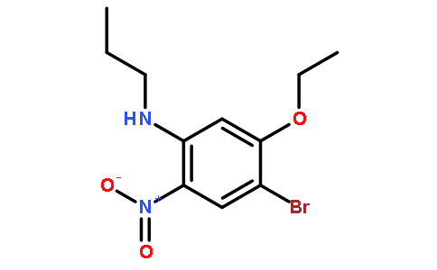 4-Bromo-5-ethoxy-2-nitro-N-propylaniline