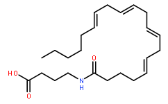N-ArachidonylGABA(128201-89-8)