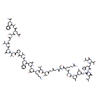 CGRP 8-37 (rat)