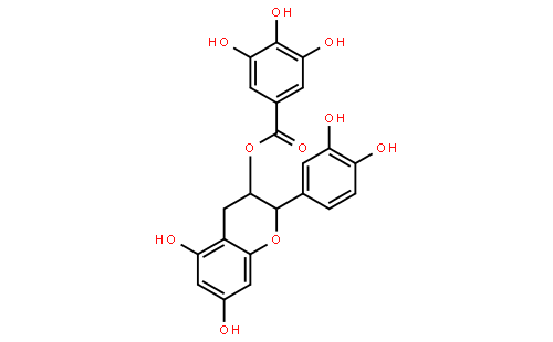 Catechin gallate（CG）