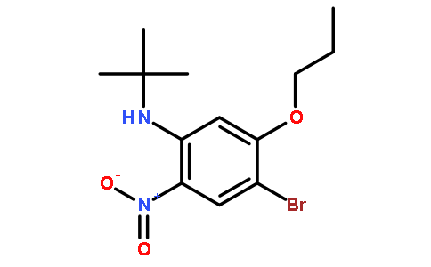 4-Bromo-N-(tert-butyl)-2-nitro-5-propoxyaniline