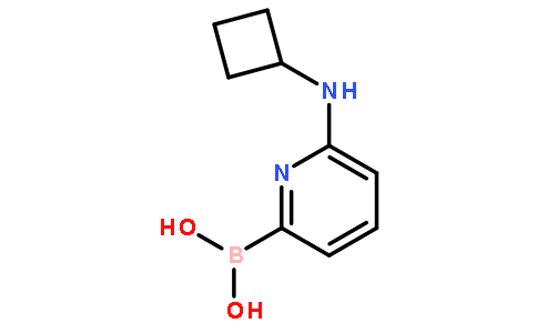 6-(Cyclobutylamino)pyridine-2-boronic acid
