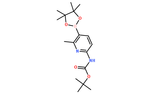 6-tert-Butyloxycarbonylamino-2-methylpyridine-3-boronic acid pinacol ester