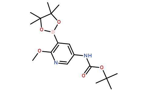 5-tert-Butyloxycarbonylamino-2-methoxypyridine-3-boronic acid pinacol ester