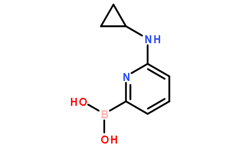 6-(Cyclopropylamino)pyridine-2-boronic acid