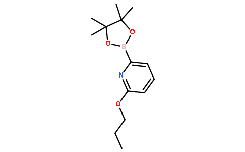6-(N-Propoxy)pyridine-2-boronic acid pinacol ester