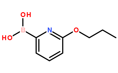 6-(N-Propoxy)pyridine-2-boronic acid