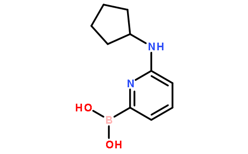 6-(Cyclopentylamino)pyridine-2-boronic acid