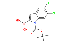 1-BOC-5,6-二氯-1H-吲哚-2-硼酸