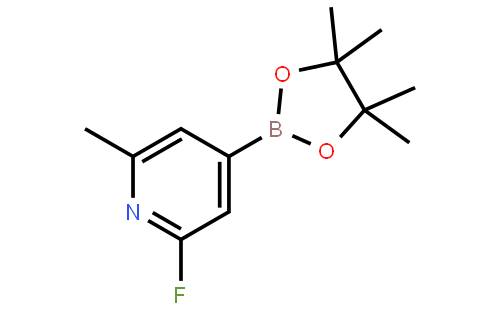 2-Fluoro-6-methylpyridine-4-boronic acid pinacol ester