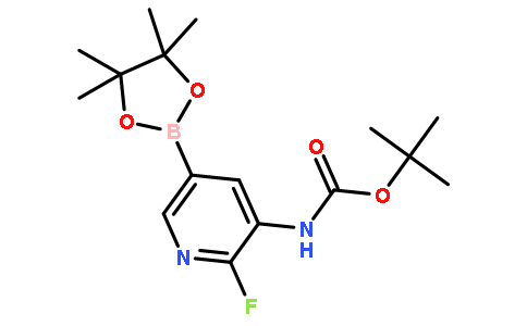 3-tert-Butyloxycarbonylamino-2-fluoropyridine-5-boronic acid pinacol ester