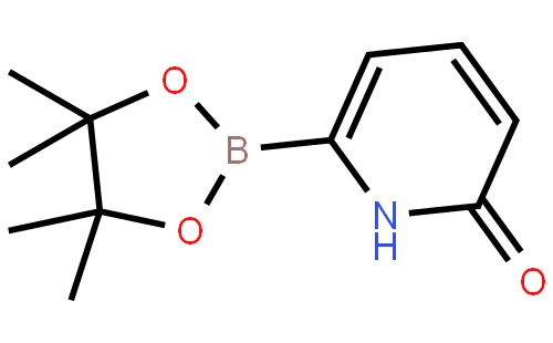6-Hydroxypyridine-2-boronic acid pinacol ester