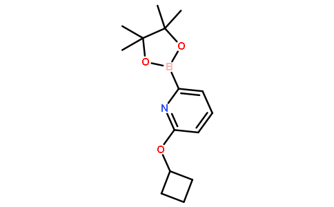 6-(Cyclobutoxy)pyridine-2-boronic acid pinacol ester